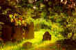 Graveyard at St. Mary's Church, St. Mary's Road