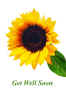 Get Well Card: Sunflower